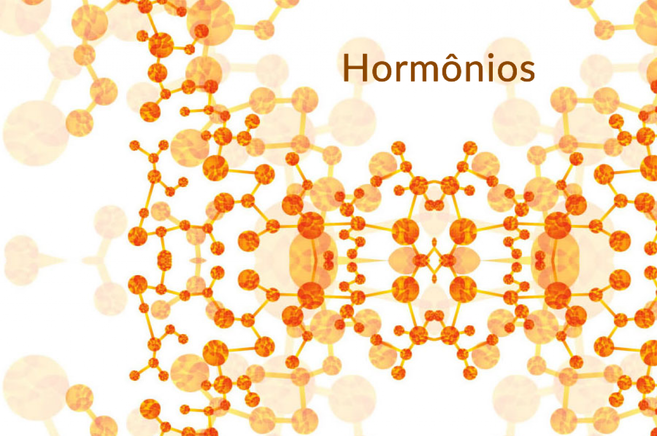 hormônios